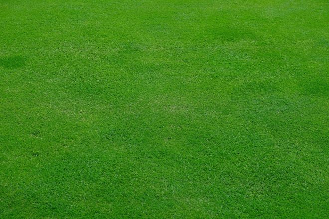 professional lawn mowing with neat green stripes