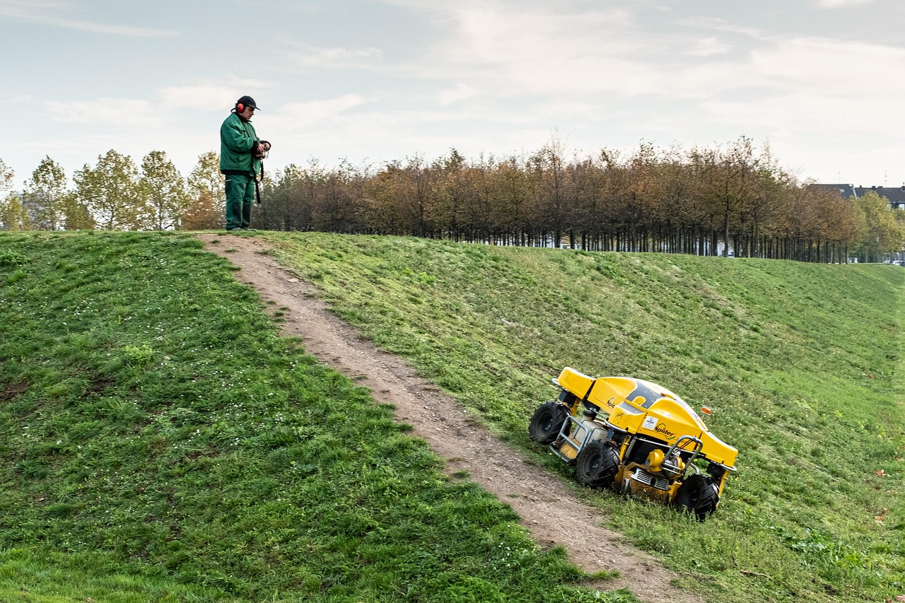 lawn care mowing green grass