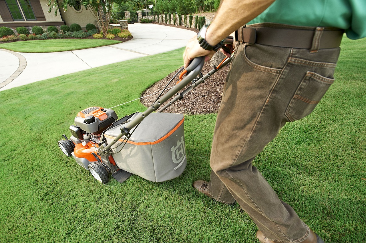 landscaping yard maintenance garden