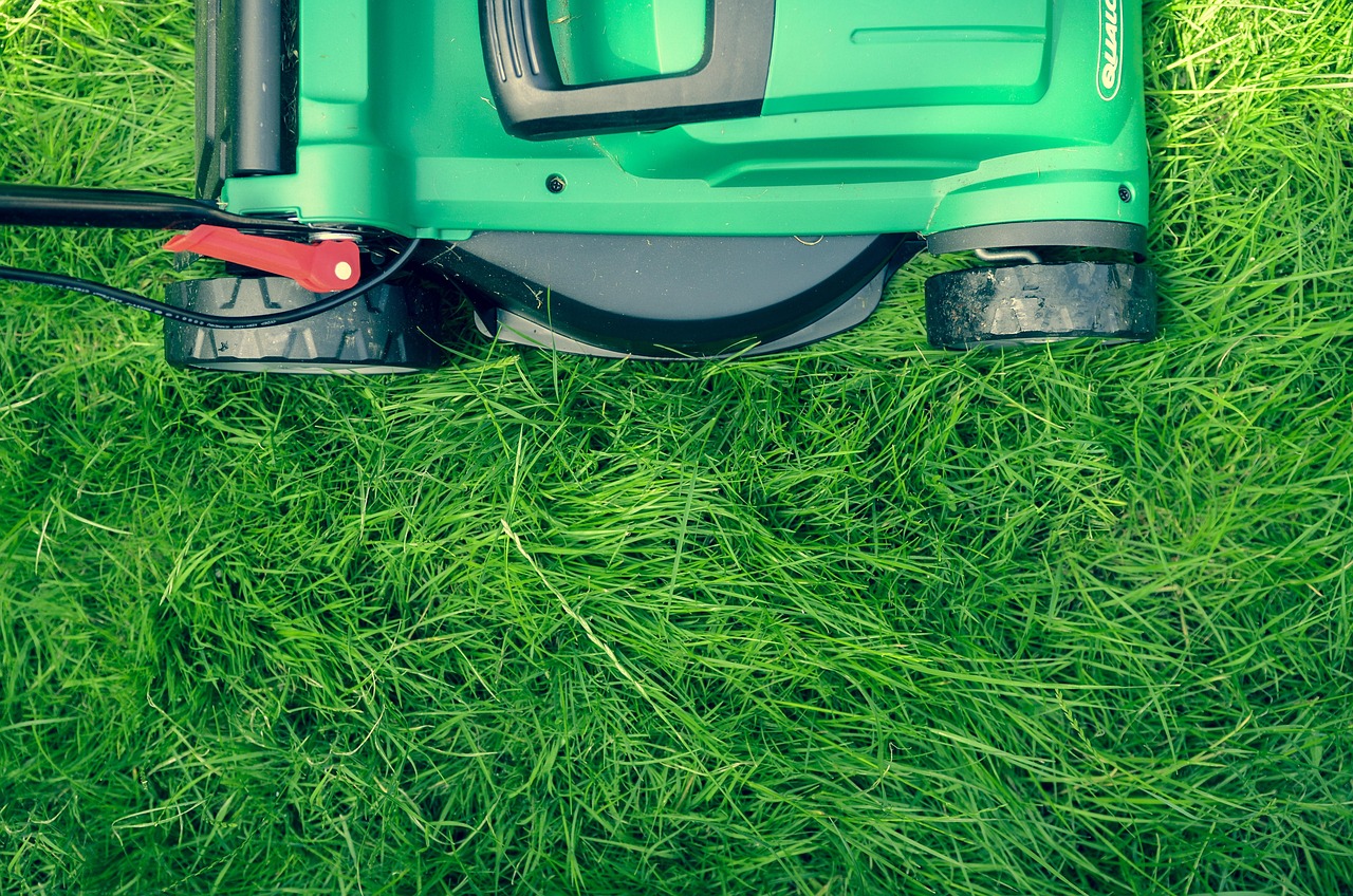 landscaping yard maintenance garden